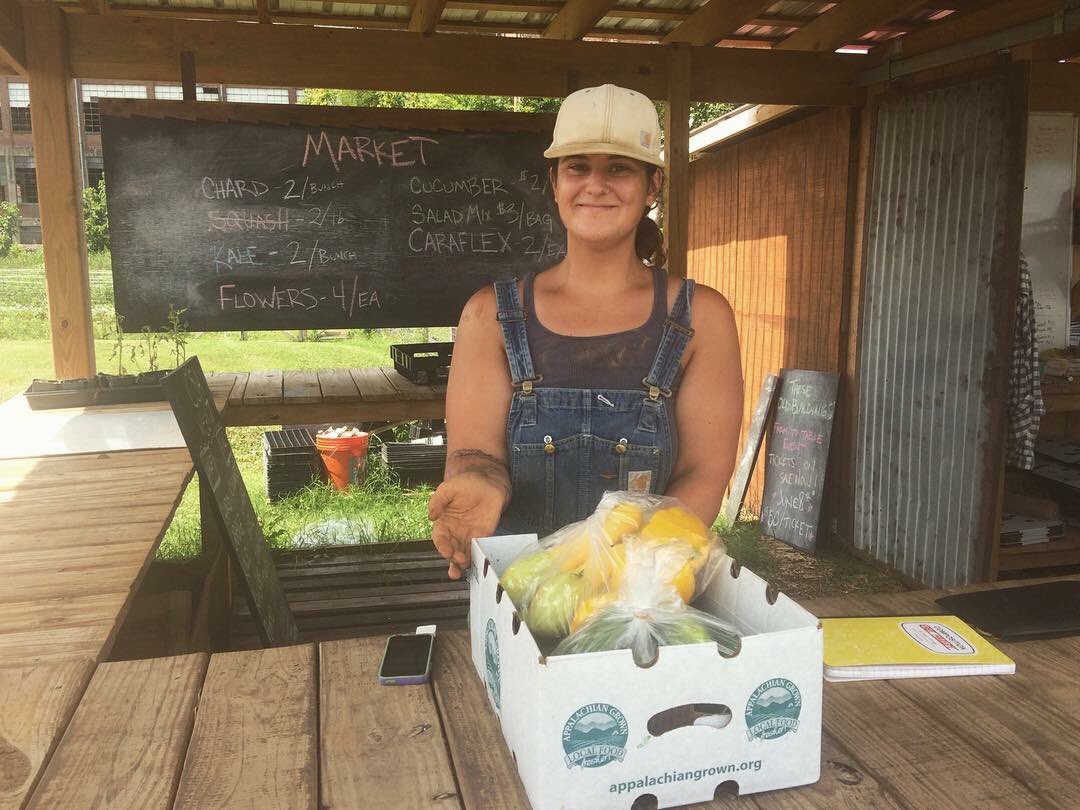 Center4UrbanAg's tweet photo. We just picked up some gorgeous summer squash and cucumbers from Hannah at @abbeyfieldsfarm. We can’t wait to share them with guests at Friday’s Summer Solstice Dinner! Tickets are still available at https://t.co/bmehYSvJQU. #localfood #farmtotable #summersolsticedinner #farmher https://t.co/aDq2SYzw8M