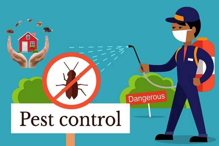 pest_pre's tweet photo. Best #Termite_Control Services Delhi, High Quality 25% Off, Call Now 9717871852 . Best Deals on Big Project. Types: Flats, Apartments, Residential Society. Get more Info. https://t.co/NoXhS7AZ4h https://t.co/ocWbEdQP02