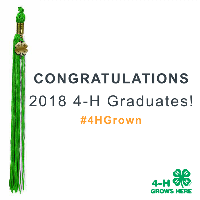 wastate4h's tweet photo. Congratulations to all of our @4H graduates! May your next steps be as fun and impactful as your years in 4-H have been. "What lies behind us, and what lies before us are small matters compared to what lies within us." - Ralph Waldo Emerson #WA4H https://t.co/0cOypjFgKQ