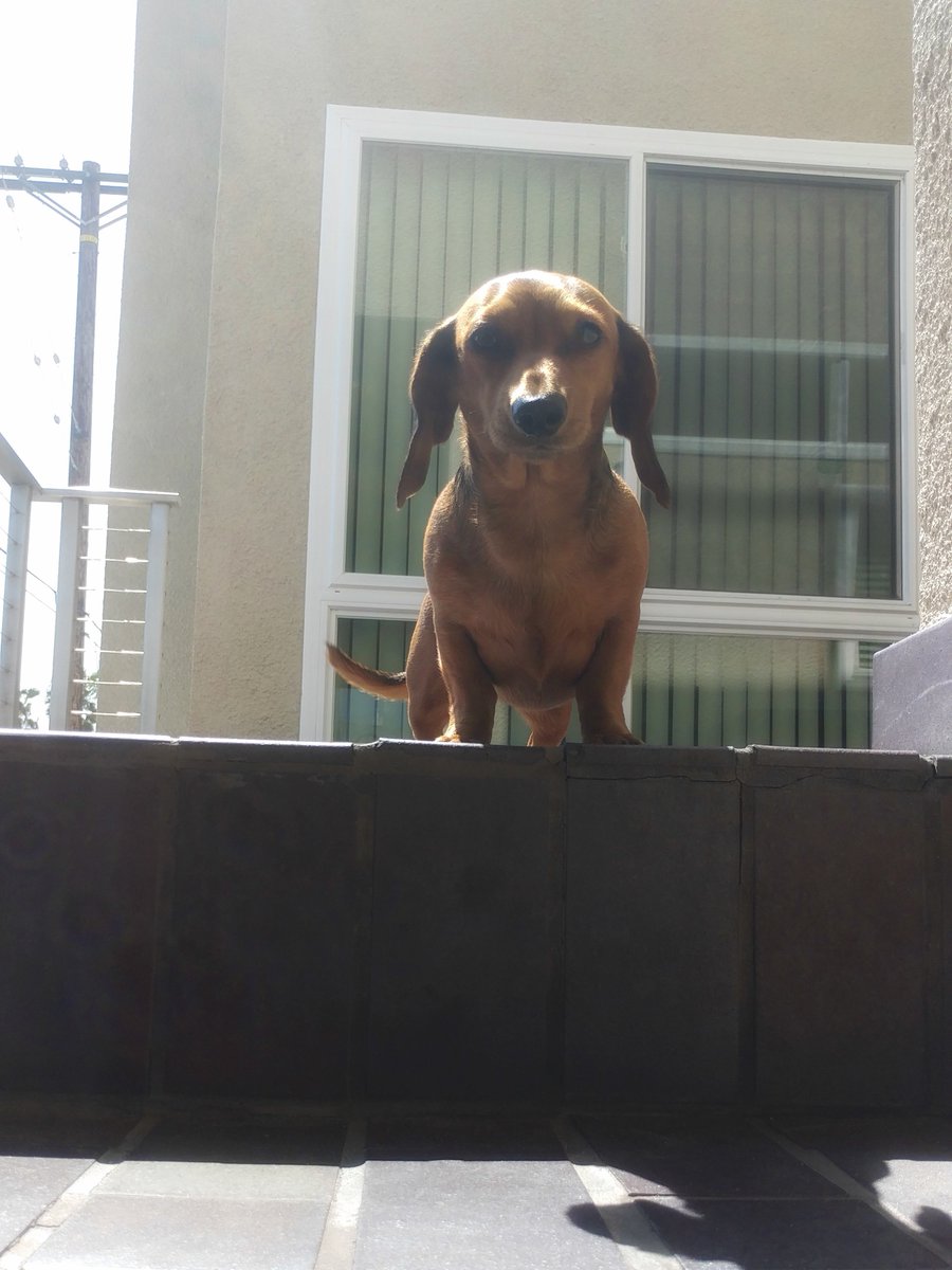 WildWienerGame's tweet photo. That’s right… drop that food 🔍 https://t.co/kesGuhxD1B