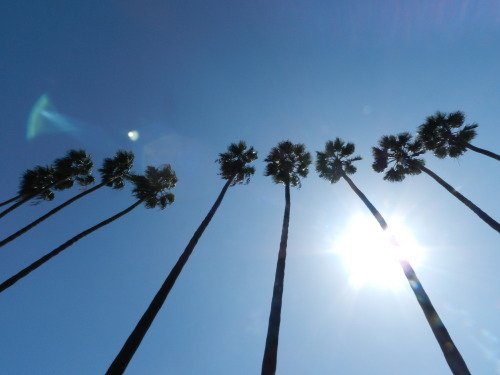 RT if you dig 
"Fine - "Japanese Import Mix"
itunes.apple.com/us/album/fine/…

Please Share!!!
#Grunge #Pastel #Indie #NSFW #fine #resist #Naked #Punk #Spotify #Dirtycakes