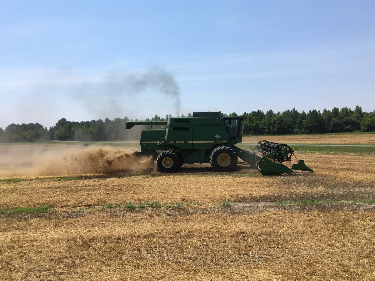 Emily Mueller tweet media