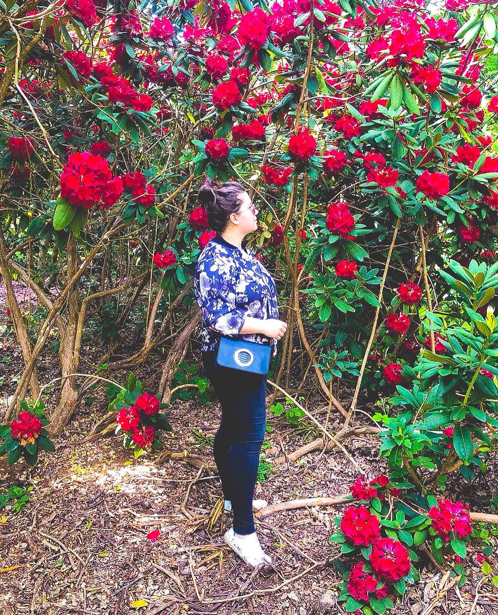 365daysofT's tweet image. When everyone is watching football I am planning my next adventure. 
#Traveller #travel #travelcouple #travelbloggers #travelblog #traveling #travelling #london #londoner #podroze #londyn #globetrotter #WorldCup #ilovetravel #passport #travellife #travellers #adventure #travels