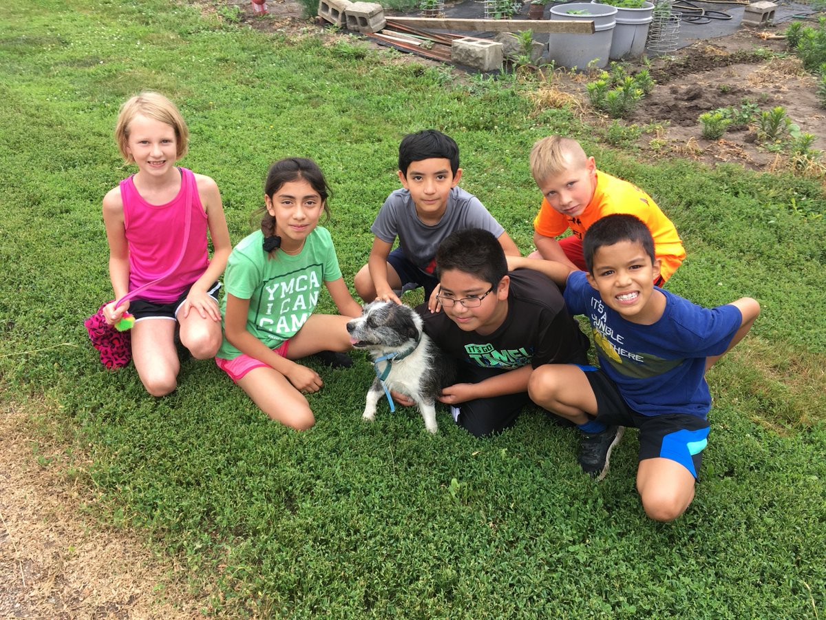 SCElemSchool's tweet photo. A great day on the Brandt farm for @SCElemSchool &amp; @PCElemSchool students!
#lakeviewvikes
#farmlife https://t.co/jC6skEukMz