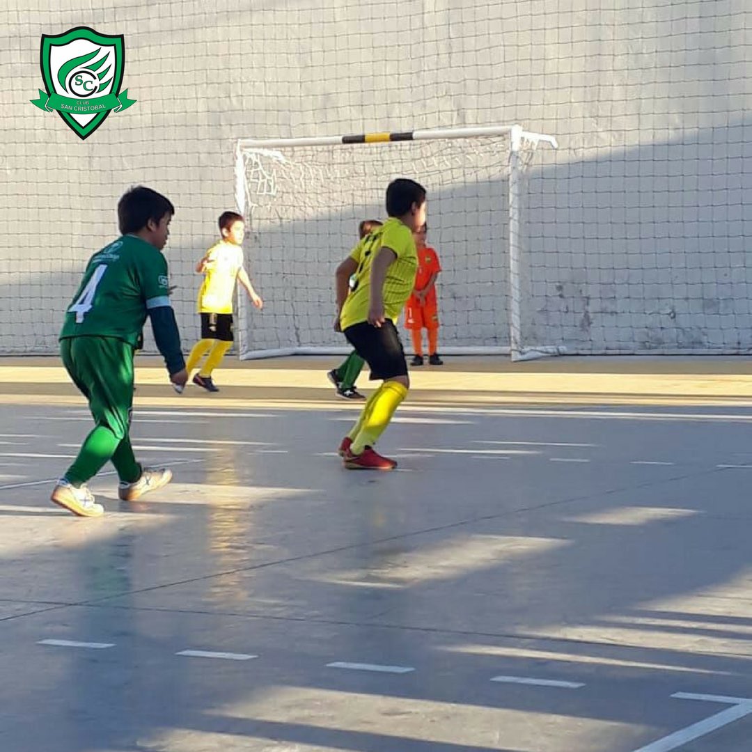 sancristobal_py's tweet photo. VERDECITOS | El fin de semana pasado se disputó una nueva fecha del Torneo en las Inferiores y jugamos de visita ante Recoleta. Con victorias en la Sub 9, Sub 11 y derrota en la Sub 13 y Sub 15.
#Verdecitos #ClubSanCristobal #SiempreVerde https://t.co/ATdWsaRwgj