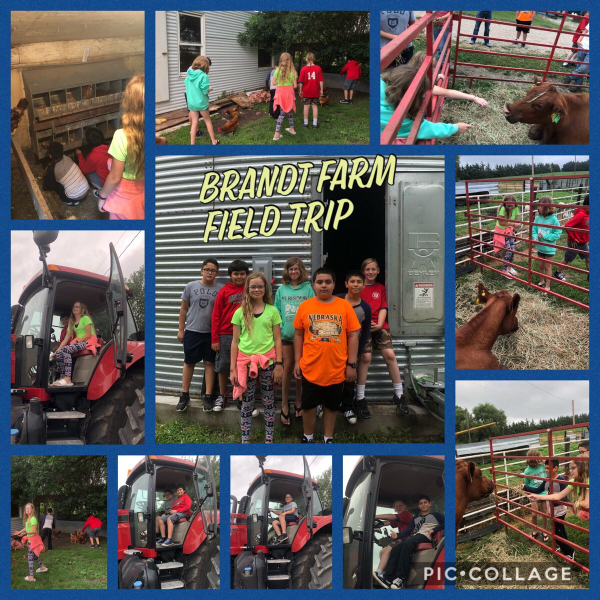mary_hruska's tweet photo. Mini field trip day at the Brandt family farm! Thanks, @JoannJoannbrndt &amp; crew! #summerschool #lakeviewvikes @PCElemSchool @SCElemSchool https://t.co/FALzV90SLL