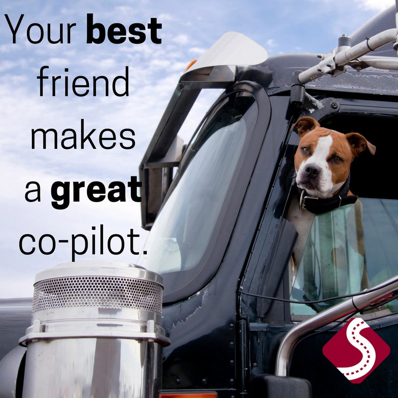 drive4super's tweet photo. Did you know it's National Take Your Dog To Work Day? Check out our pet policy and learn how you can make every day Take Your Dog To Work Day! 🐶 🐱 🐾 🐾
https://t.co/GOXT3hhmnr https://t.co/3J1UQDxrkT