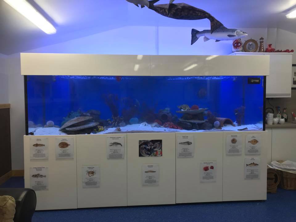 NESFLAG-funded Buchanhaven Boat Shed celebrated its official opening last weekend.  The pictures show what a fantastic space has been created, including a boat workshop, learning centre, heritage displays and even an aquarium!  Well done to everyone involved in the project! 🐟