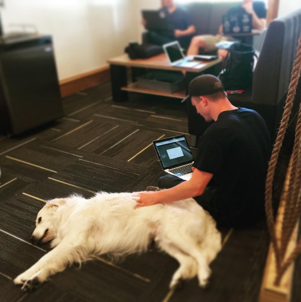 Apprenace tweet media