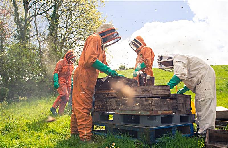 Highbullen's tweet photo. We've joined @quincehoneyfarm to offer a special Beekeeping Experience - spend time in stunning North Devon countryside learning about bees! A few places left on July 5 and 7 so hurry! Booking essential. For more info see https://t.co/D2eq9xQHRK
#honeybees #beesneeds #Highbullen https://t.co/pVDQa7yWOY