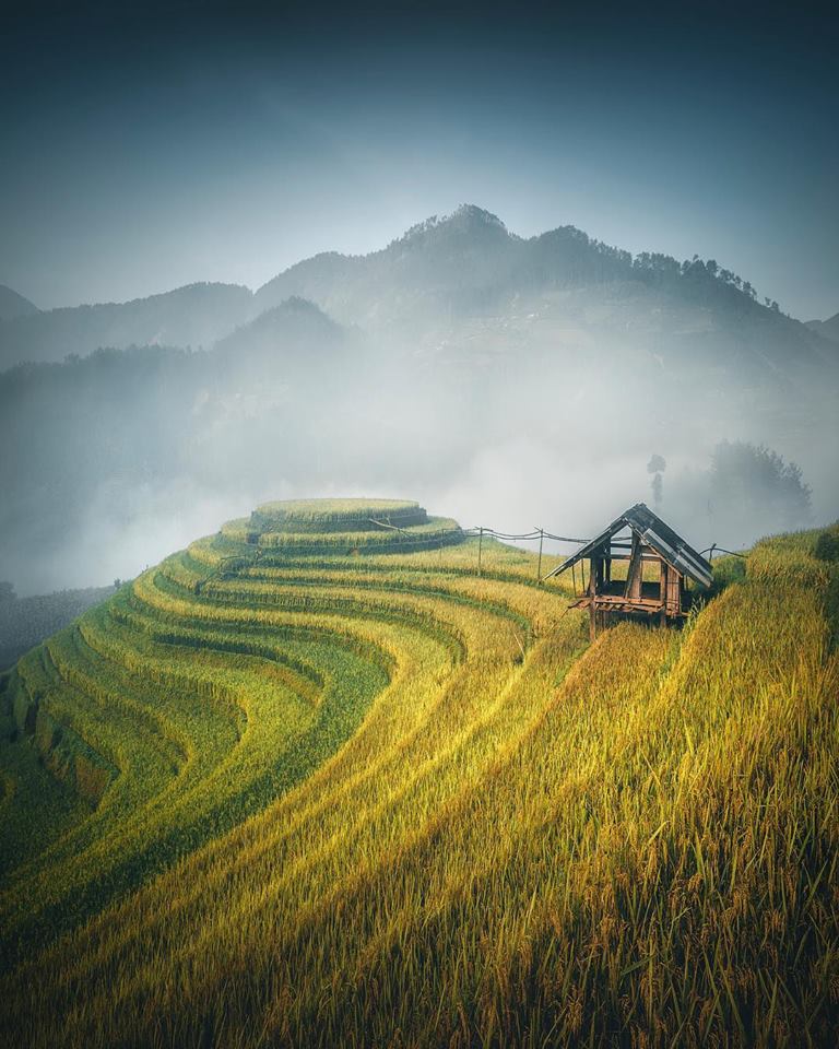 bpackingapp's tweet photo. The rice fields on terraced in morning at Mu Cang Chai, in Northern Vietnam 🌾
📸 Cuma Cevik Photography

#vietnam #backpacking #mucangchai #yenbai #backpackers #bpackingapp #travelsolo #visitvietnam #vietnamroadtrip https://t.co/9Z23dlJgiD