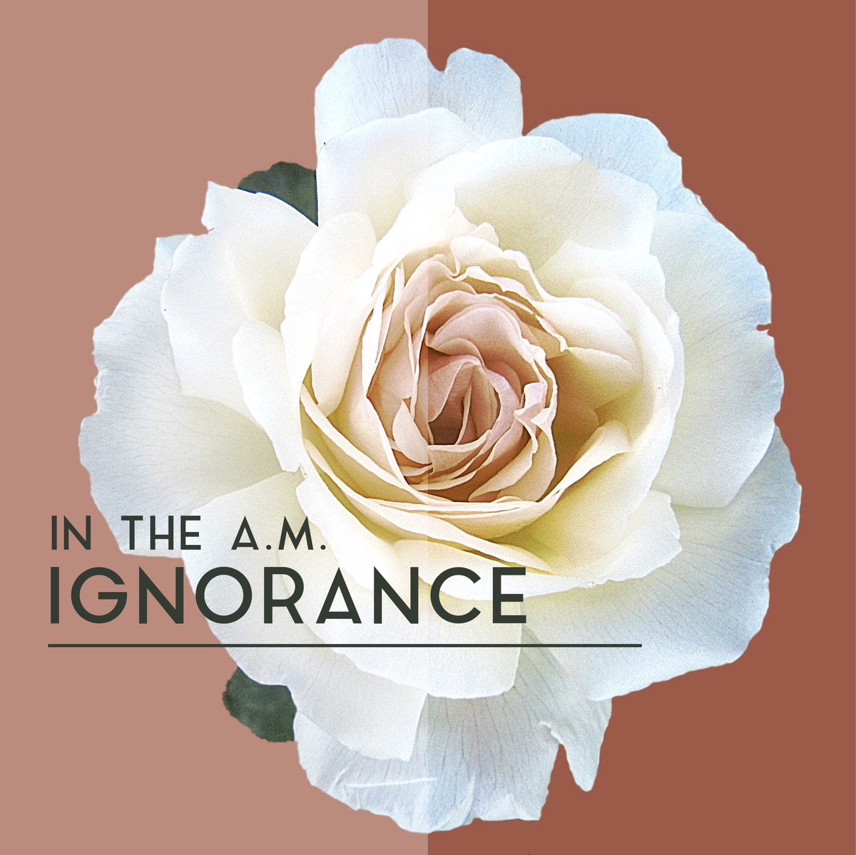 shimpdotcom's tweet image. Getting pumped for our release of our next single “Ignorance” on all music platforms along with a music video June 29th!