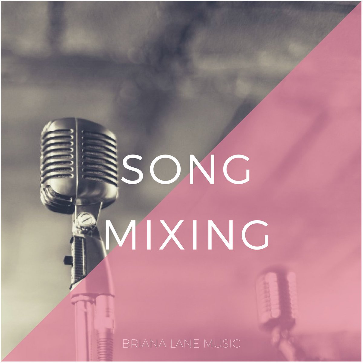 BRIANA LANE MUSIC tweet media