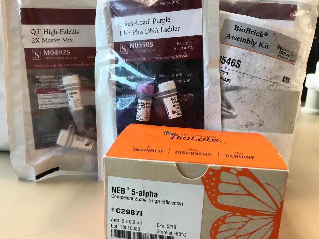 TeamTecGDL's tweet image. We are very grateful with @NEBiolabs for the support we are given. This will help us a lot in our experimentation and in #interlab! 🙌🏻 
¡Estamos muy emocionados!
#iGEM #sponsorship #igem2018 #summertime #welovescience #sciencearoundtheworld #scienceexperiment