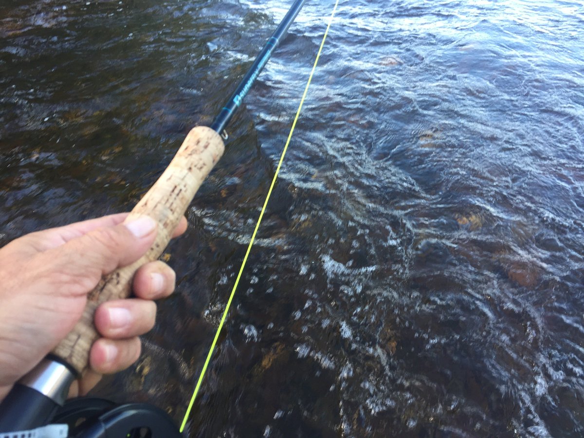 StephenJosPaul's tweet photo. Its summer and the Atlantic Salmon are here again.  FirstNationsTourism .  
Book now!  #atlanticsalmon #fishing #angling #FirstNationsTourism
contact Steve : @StephenJosPaul  
gmail - firstnationstourism@gmail.com for rates and dates. https://t.co/GPf5n9DfSL