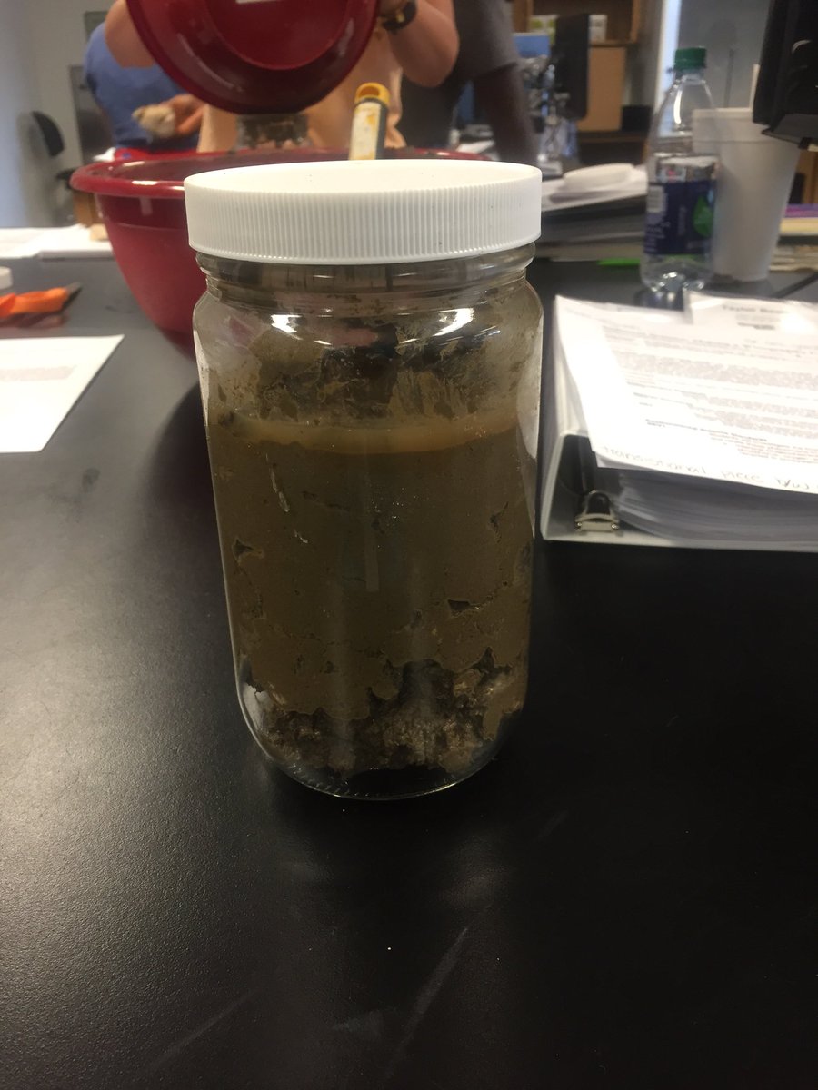 MsBealsClass's tweet photo. Making Winogradsky Columns, wondering how long until mine starts looking cool and trying to make an example for my students b/w sediment and microorganisms #makingmud #scienceconnections https://t.co/Zd86tCQyak