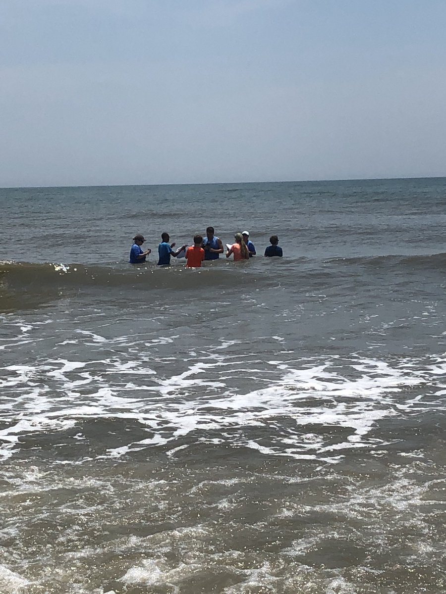 CoachStoneham's tweet image. Beach Day @SturgeonCityNC Science Institute. @nbms_sciencelab