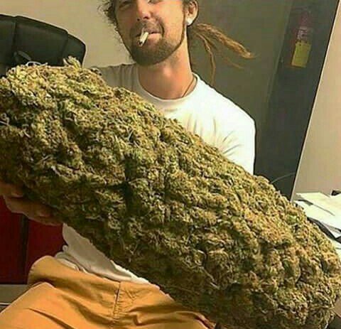 xWeedpost's tweet photo. https://t.co/zqfkrxL7pr