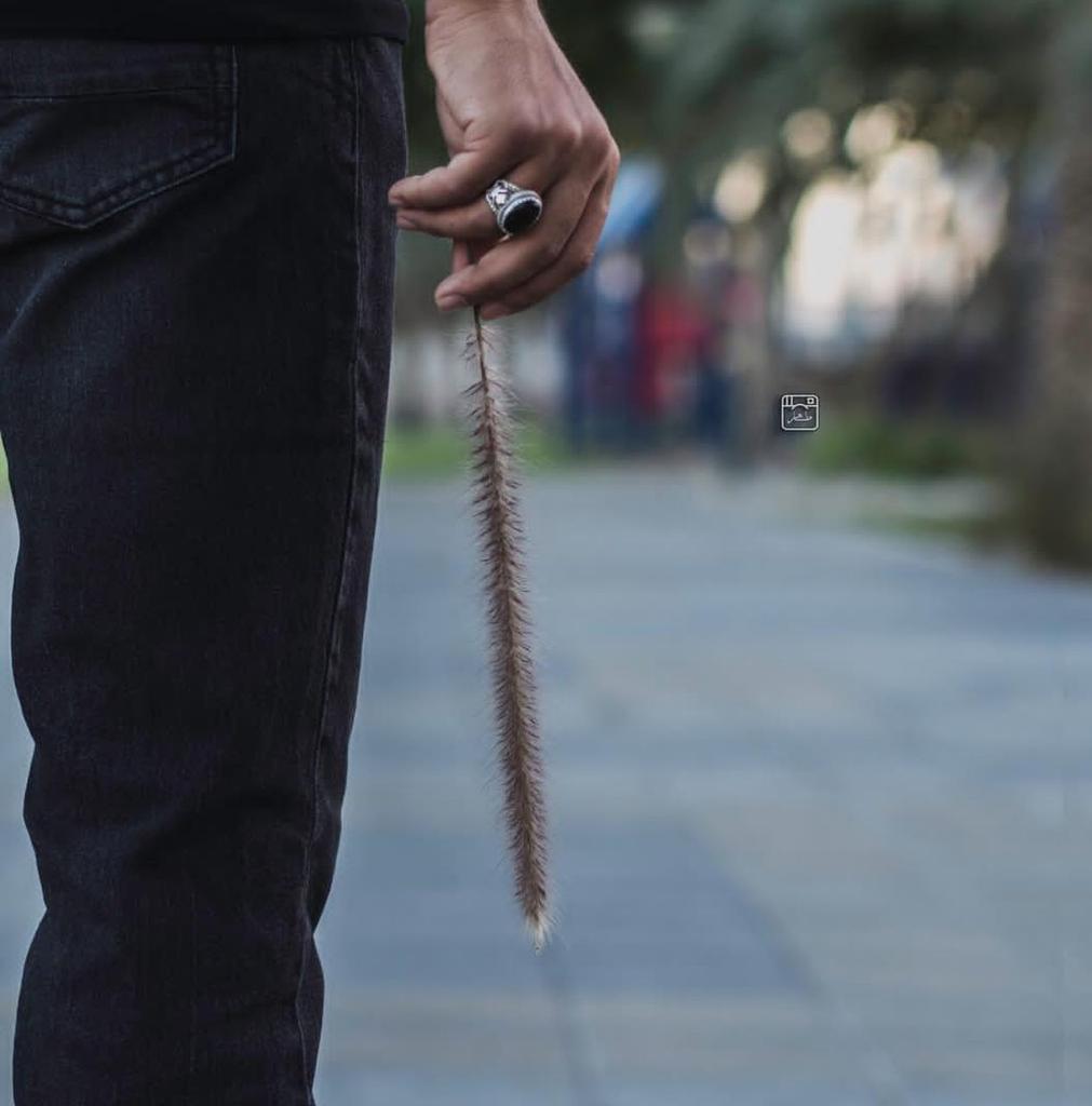 أّظّلَ أّمَشٍيِّ أّدِوِرعٌنِ أمَلَ {بِګرأّ}🙌
عسى بكرا يجي شئ{انتظره}💖
عٌَّسى بِګرهِ يِّجِيِّ{أّجِمَلَ}💞💝