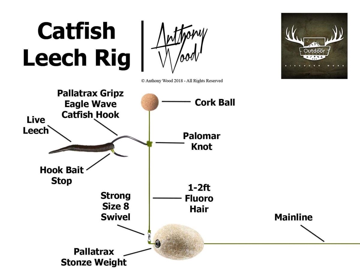 Anthony Wood on X: Some fantastic #leechfishing rigs for you to try. Both  will work for #catfish but the #carolinarig is more suited to fishing for  #zander (a lot of people don't