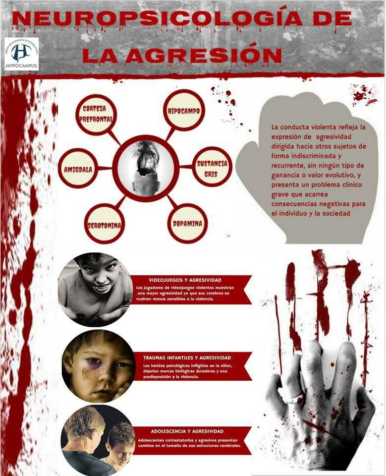 HippocampusGrup's tweet photo. Principales áreas cerebrales involucradas en las conductas agresivas y factores asociados #Grupohippocampus #Neuropsicología #Dopamina #Hipocampo #Conductasviolentas #Videojuego #Serotonina #Trauma #Adolescencia #Agresión @ALEM_Medellin @FundacionGales @clarologu1 @AlexanderRios_ https://t.co/FcZUppMI2U
