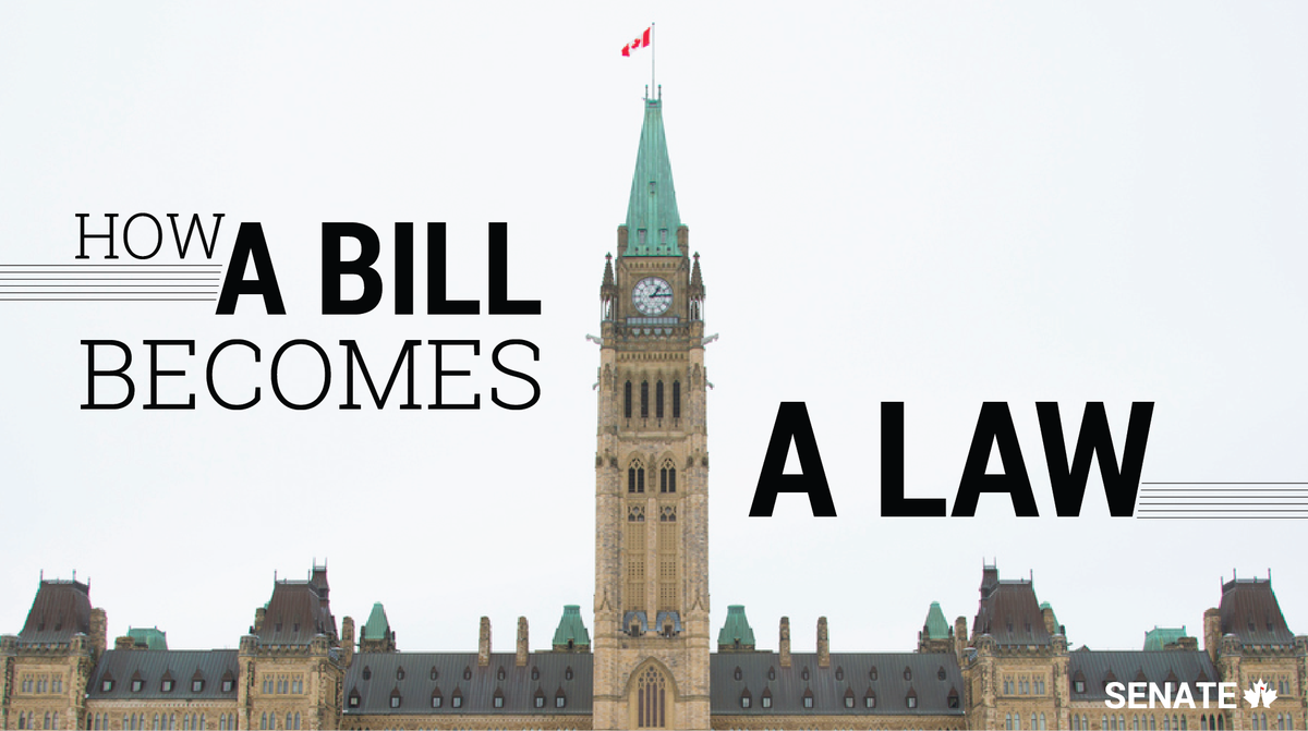SenateCA's tweet image. Check out our #infographic on how a bill becomes a law: ow.ly/lMkW30j6Mgs #SenCA #C45 #cdnpoli