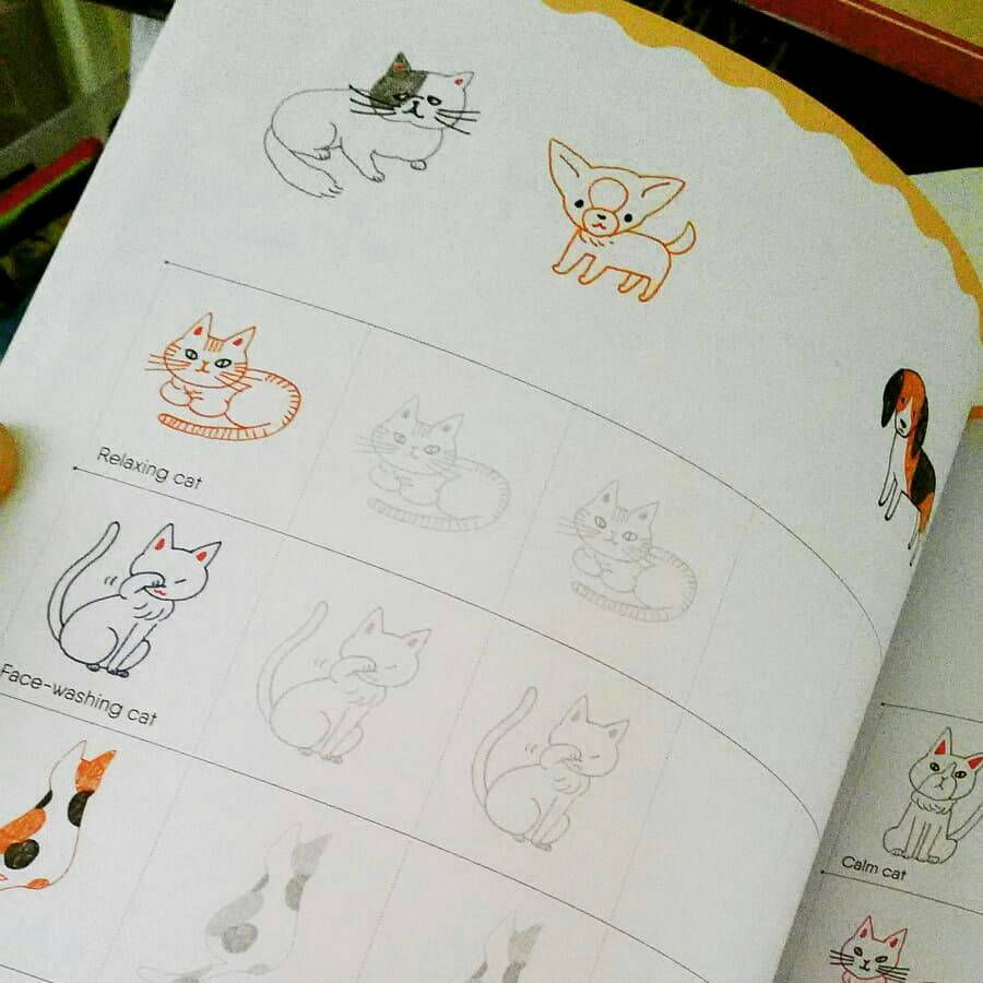 Nao Sakamoto Twitterren How To Draw Almost Everything For Kids 簡単 かわいいイラスト練習帳 英語版発売されました Nhkの番組でイラストレーターのカモさんと坂本で作り上げたものが英語でも Naosakamoto Howtodraw Illustration T Co Ivlf6xlpkx