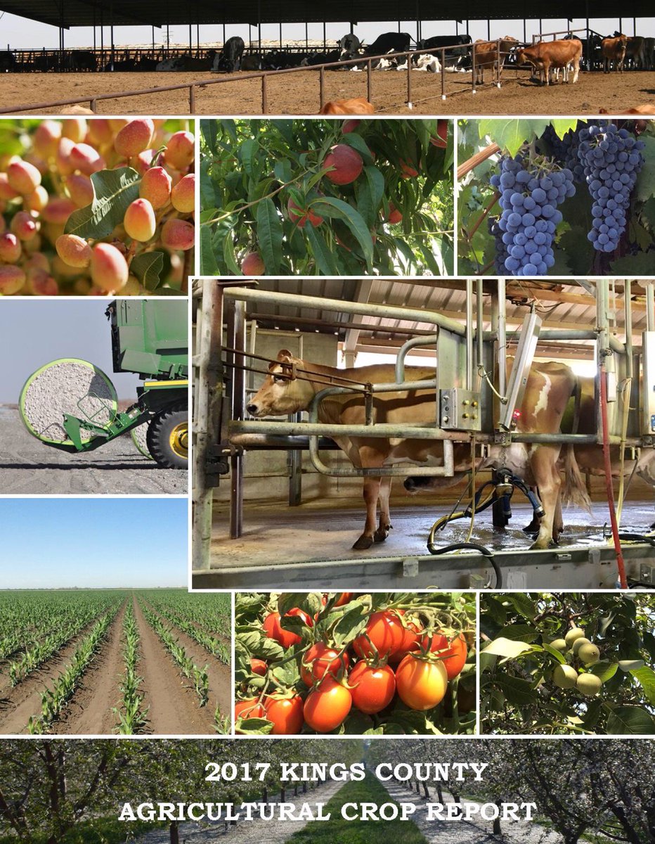KingsAgComm's tweet image. Check out our 2017 Crop Report on our website!!! 🚜🐄🍅🐥