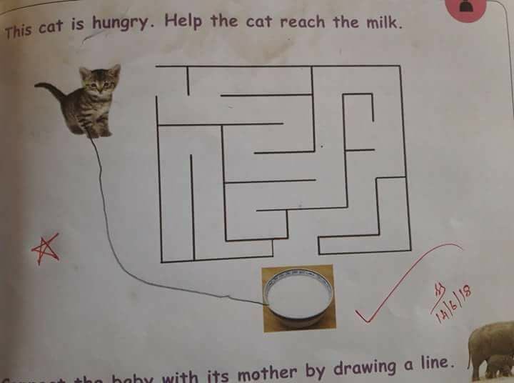 KNargish's tweet photo. Life is simple...we unnecessarily complicate things sometimes 😊 https://t.co/SoSLfoNZCD