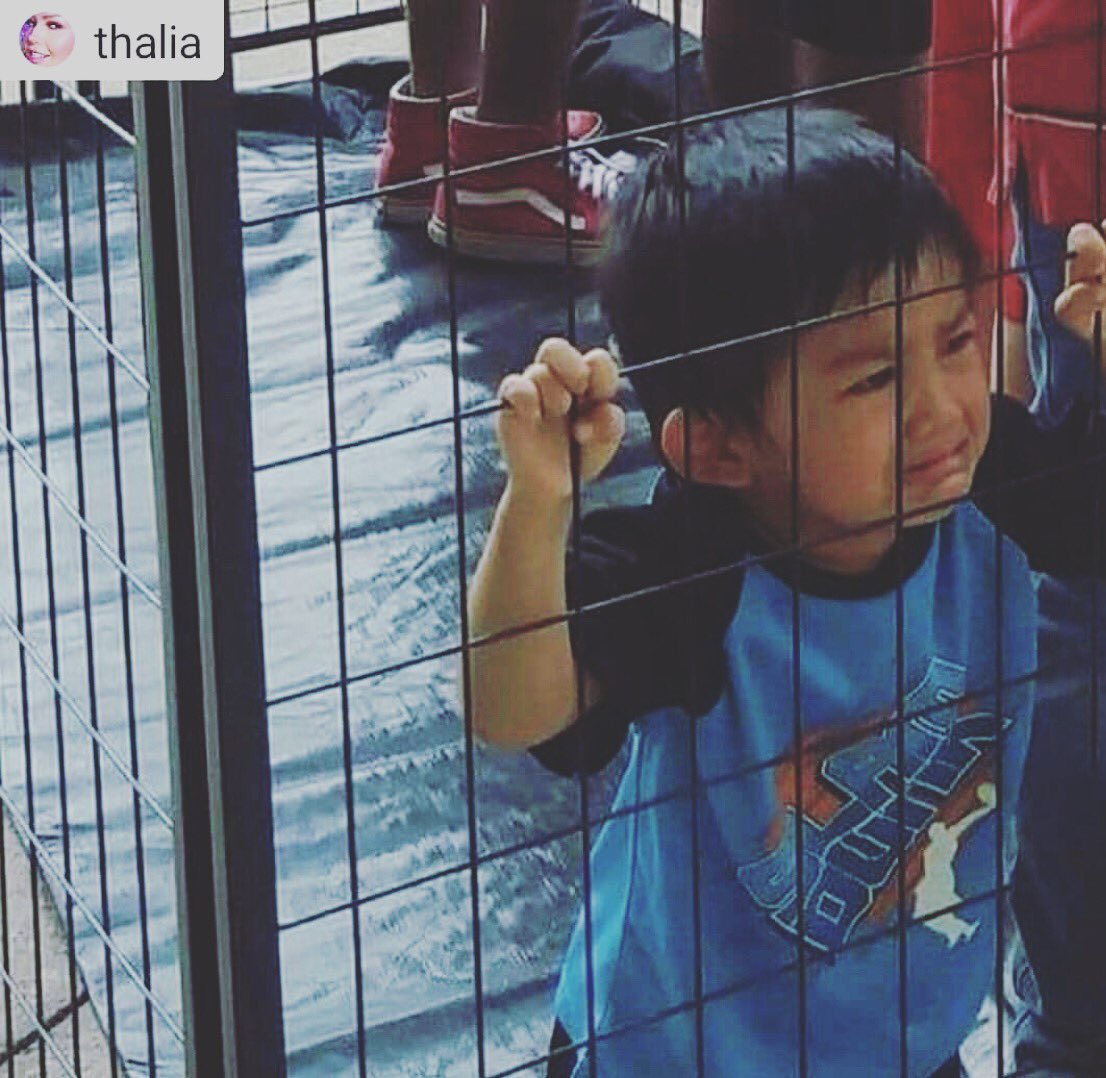 GalileaMontijo's tweet photo. Esta imagen como duele como pueden permitir estos actos tan inhumanos tan vergonzosos y creemos q ya evolucionamos como humanos!acto cobarde, tan fuera de la realidad y de cualquier ley o política, en un país q lucha hasta por la ley de los animales que injusticia! Que poca MADRE https://t.co/kZTFs891Ps