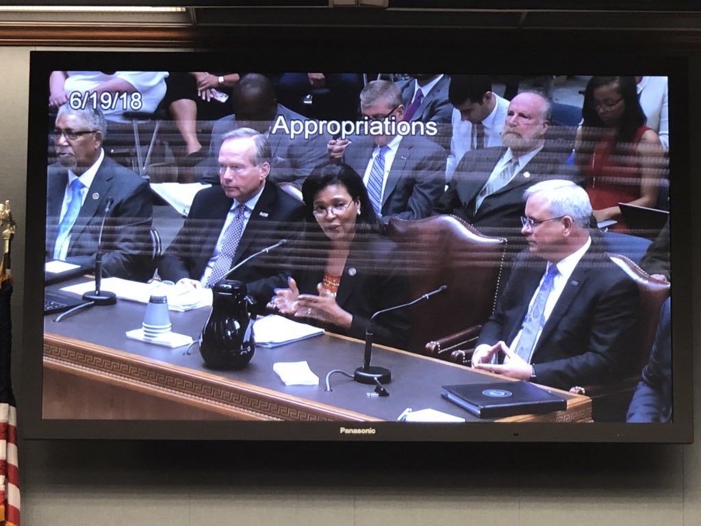 LA_Regents's tweet photo. Commissioner @KimHunterReed @LCTCSpresident @lsuprez @DrJBHenderson testifying before House Appropriations in support of Louisiana #highereducation. Goals: 1) Stabilize funding 2) Fully fund #TOPS &amp; #GoGrants >> #LaLege #LaGov #SupportLaHigherEd https://t.co/CiaGkaWYRY