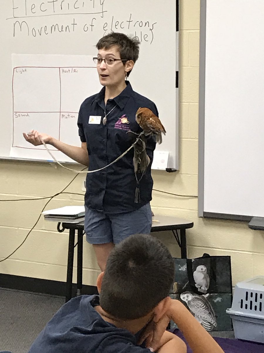Buckner3rd's tweet photo. 5th graders got to learn about owls from @GPNatureCenter and then got to dissect owl pellets! #wpssummerstem #WPSProud https://t.co/BP5aOj7fRY