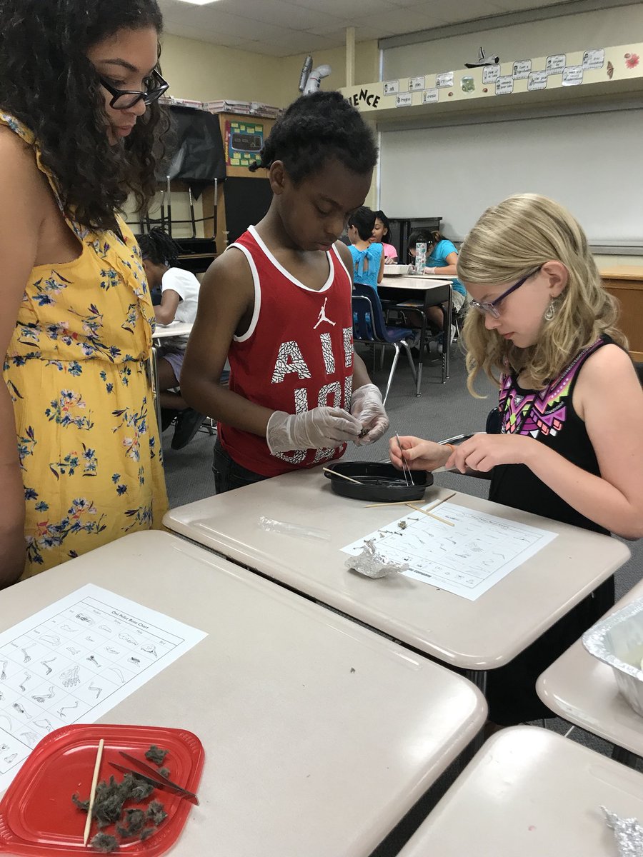 Buckner3rd's tweet photo. 5th graders got to learn about owls from @GPNatureCenter and then got to dissect owl pellets! #wpssummerstem #WPSProud https://t.co/BP5aOj7fRY