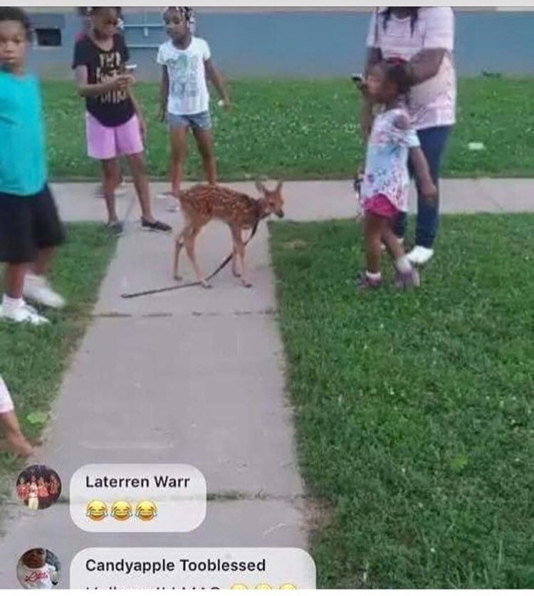 31yglilAlex's tweet photo. Nothing in Louisville surprises me anymore 🤦🏽‍♂️😂💀 https://t.co/MWRtkLKrzr