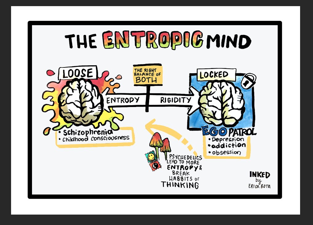 Thinklink_e's tweet image. Just listened to @michaelpollan's interview on @TimFerrissShow. Fascinating. Thought the entropic mind could use a visual ;) #psychedelics #mentalhealth #depression