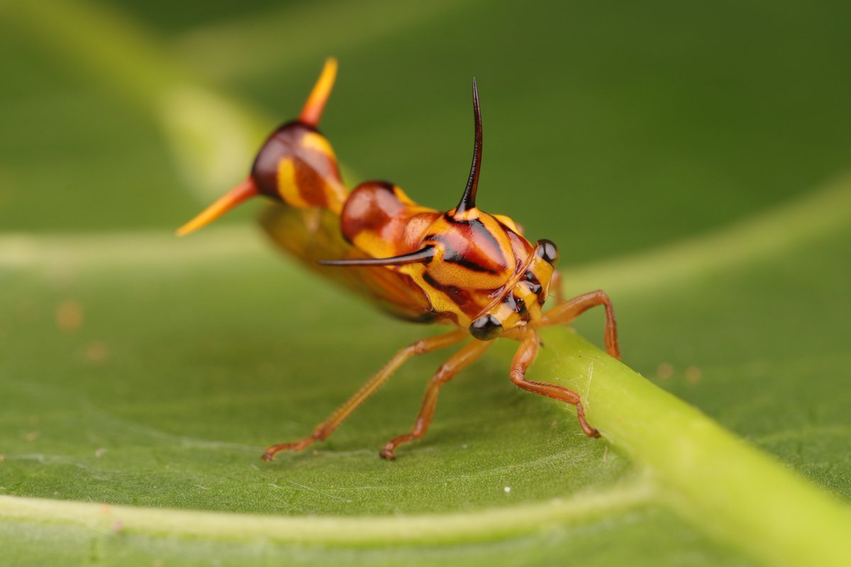 Not only that, but we've barely scratched the surface of understanding...