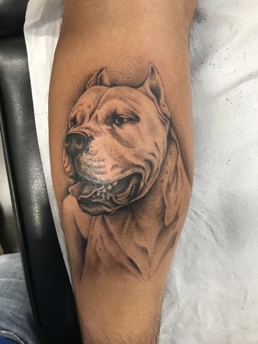 96_fix's tweet photo. 🇦🇷 EL DOGO ARGENTINO 🇦🇷
“El mejor perro entre todos los perros de presa y el de más presa entre todos los perros del mundo”
#Dogo #argentino #perro #tatuaje #siemprejuntos https://t.co/FNXCOFj0hM