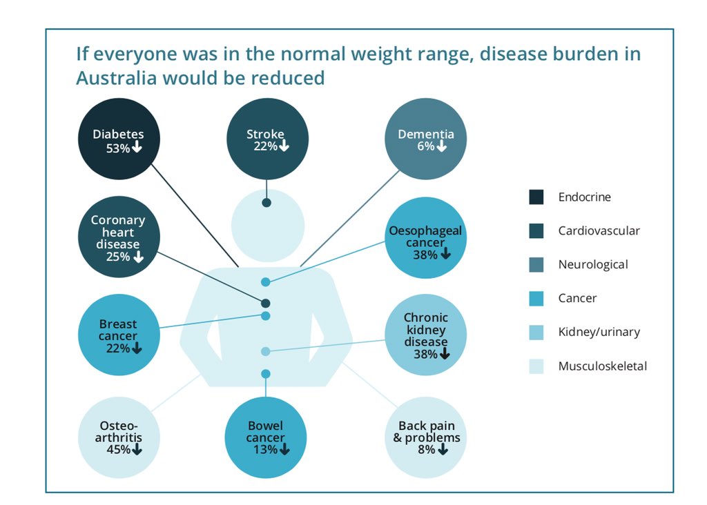 Healthy Weight Range Chart Australia