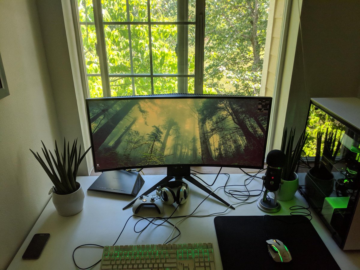 PcsToday's tweet photo. When #nature meets the #best #gaming #platform - #pcmasterrace #ftw!

#ultrawide #pc #pcbuild #pcsetup #keyboard #mouse #trees #pcgaming https://t.co/sw6LEGQcbv