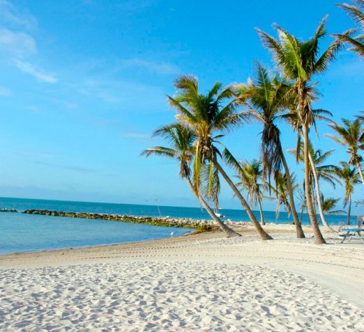 Go ahead and take that summer vacation -- you deserve it.