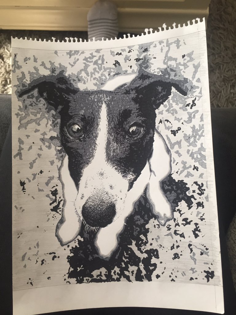 sambridgeman7's tweet photo. @Kateypandora @P_Wicks01 Awww looks my last drawing ❤️ very cute https://t.co/RTEhkIEV5h