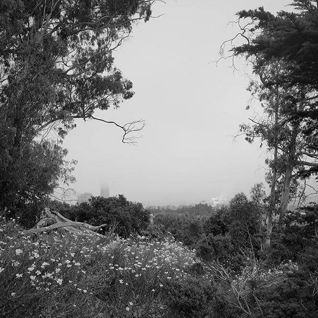 Slicehawk's tweet image. Power plant in the fog. #mlml #lablyfe #fogplant ift.tt/2JOSIPj