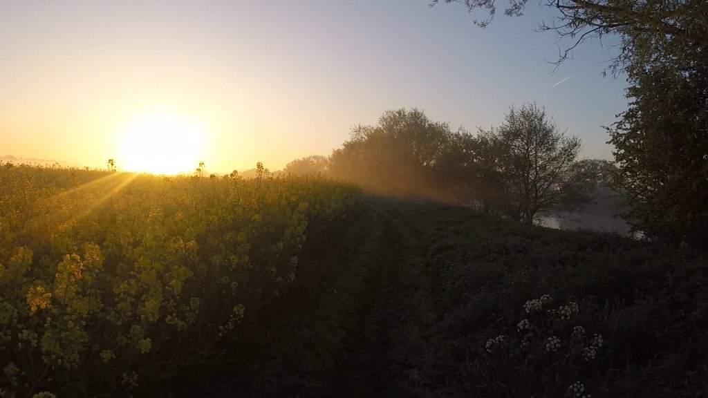 jurasource's tweet photo. Thames Path 100 – race report https://t.co/qw5ChOR5Wz https://t.co/BX7fsxg8lZ