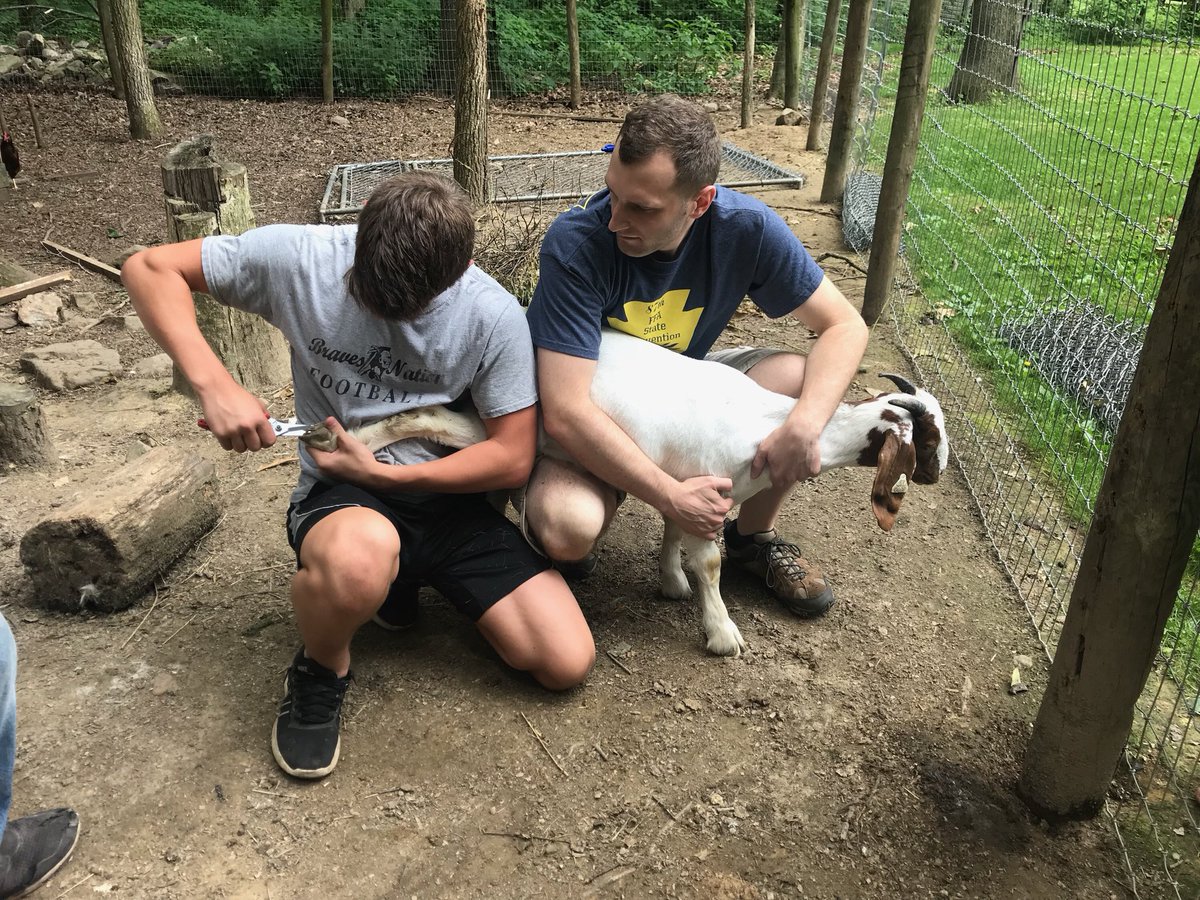 PVAgEd's tweet photo. SAE visits are in full swing! Dustin and Trevor Huber have market goat SAEs that will be exhibited at New Holland Fair #SAEvisit #pvhsproud https://t.co/84WnChKY0n
