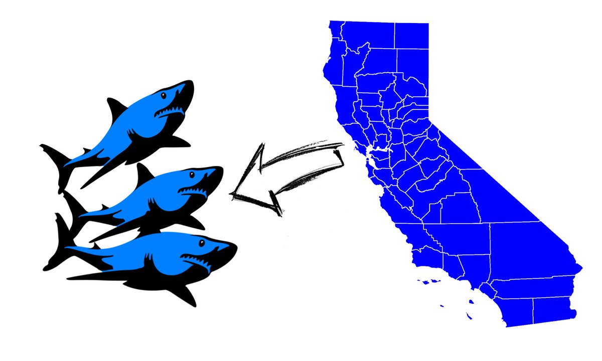TheBabylonBee's tweet photo. New Ballot Initiative Proposes Dividing California Into Tiny Bits, Feeding It To Sharks https://t.co/GSbvAQqcXs https://t.co/YQcYSV9fRR