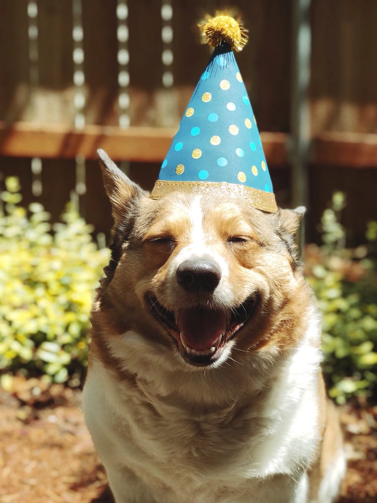 taytes26's tweet photo. This loaf of bread turned FOUR yesterday and i just can’t believe i went 19 years without him in my life. ♥️🎂 https://t.co/9zHk7IKjvf