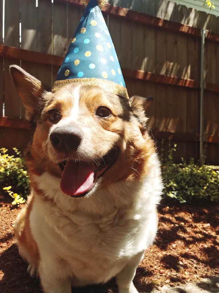 taytes26's tweet photo. This loaf of bread turned FOUR yesterday and i just can’t believe i went 19 years without him in my life. ♥️🎂 https://t.co/9zHk7IKjvf