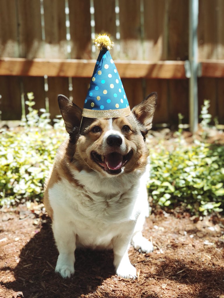 taytes26's tweet photo. This loaf of bread turned FOUR yesterday and i just can’t believe i went 19 years without him in my life. ♥️🎂 https://t.co/9zHk7IKjvf