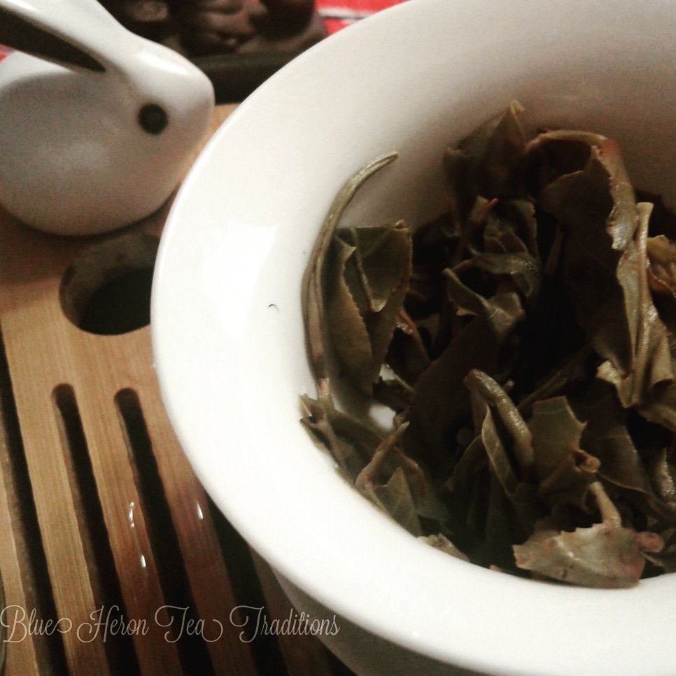 TeaHeron's tweet photo. Ms. Zhao's 2014 Sheng Puer is in the teahouse! Coming soon our website. Can't wait til then? PM me! #specialorder #makeminetea #shengpuer #directsourced https://t.co/Y3r7AqqXnU