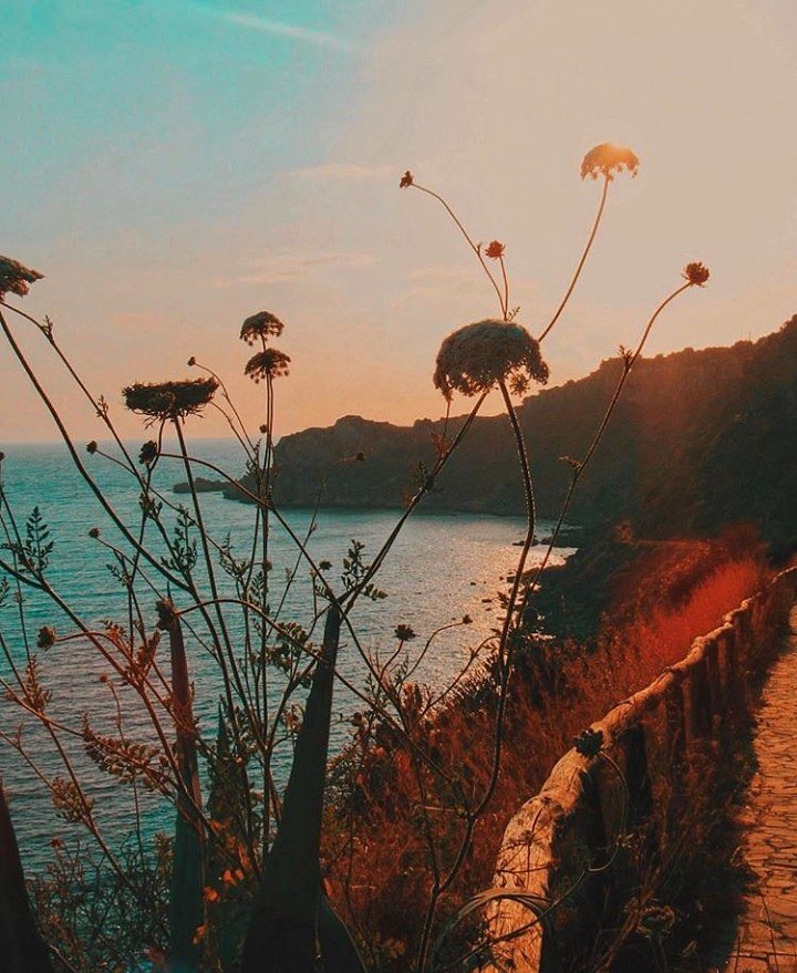 messina_igers's tweet photo. #bestoftheday di oggi di @ludovicacerto... con #semplicità! 

#igersmessina #igerssicilia #igersitalia #igers #Messina #Milazzo https://t.co/9urRd8VbHz